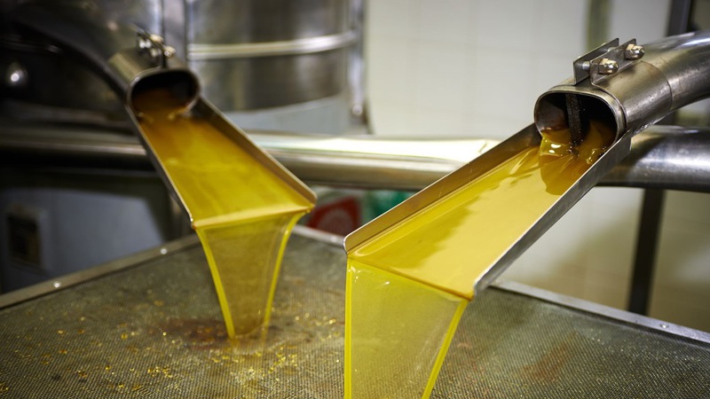 Производство рапсового масла – отсутствие спроса или неразвитая ниша?